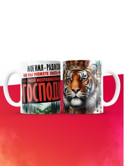Кружка именная господин Радослав